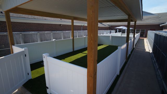 md_SAH19-Dog-Boarding15